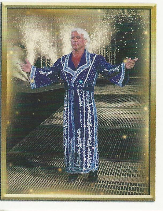 WWE Topps 2018 Stickers Ric Flair #101