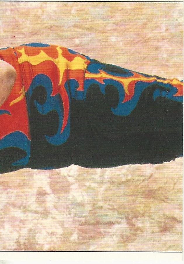 WWF Panini 1995 Sticker Collection Bam Bam Bigelow #102