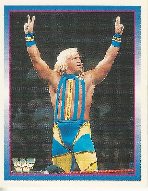 WWF Merlin Stickers 1995 Jeff Jarrett #102