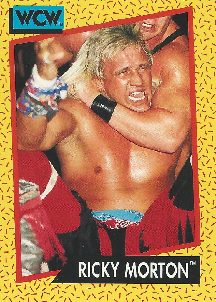 WCW Impel 1991 Ricky Morton #102