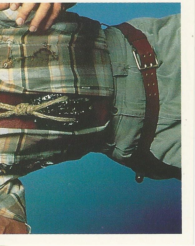 WWF Merlin Stickers 1992 Skinner #103