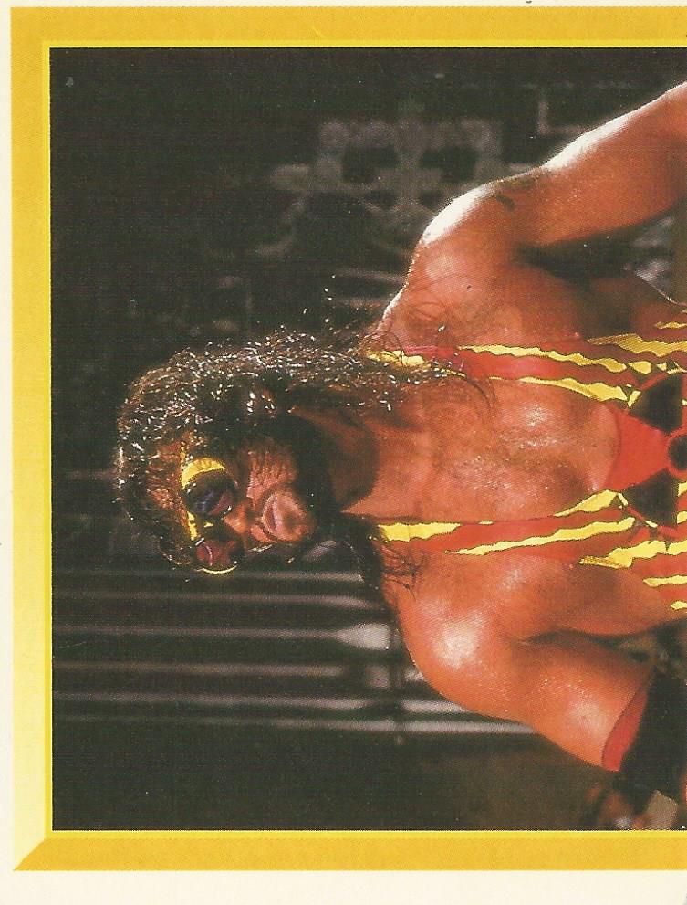 WWF Merlin Sticker 1994 Adam Bomb #103