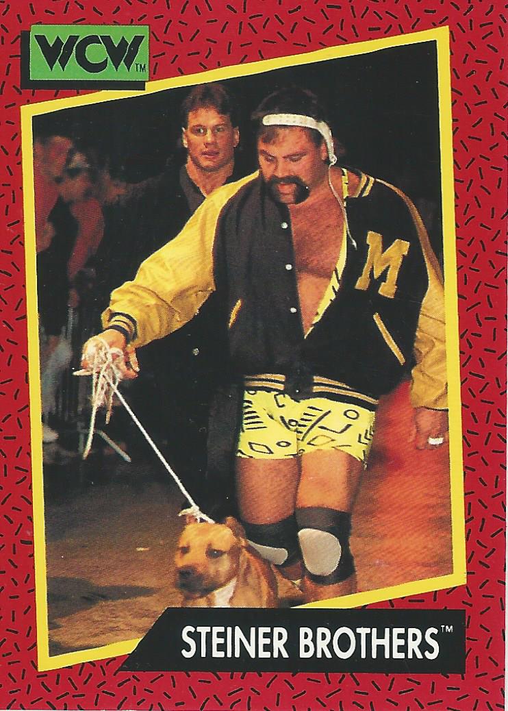 WCW Impel 1991 Steiner Brothers #103