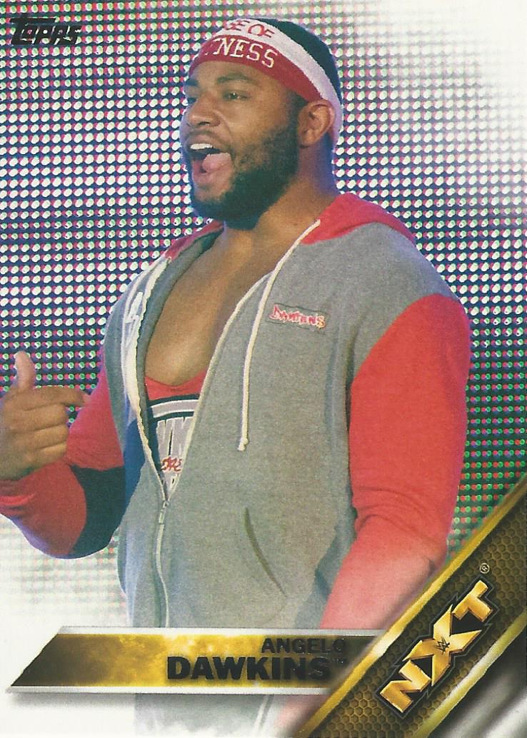 WWE Topps 2016 Angelo Dawkins #3