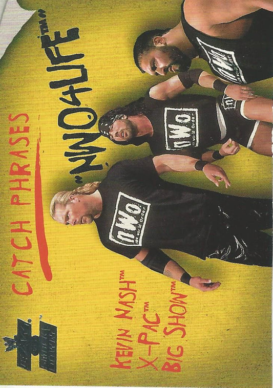 WWE Fleer Raw vs Smackdown 2002 NWO CP 13 of 15 trading card PW Catalog