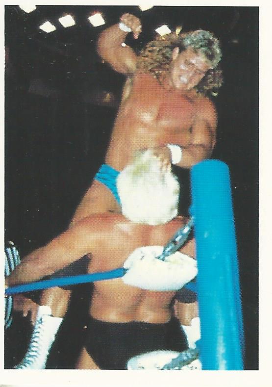 WCW Euroflash 1992 Sticker Brian Pillman #104