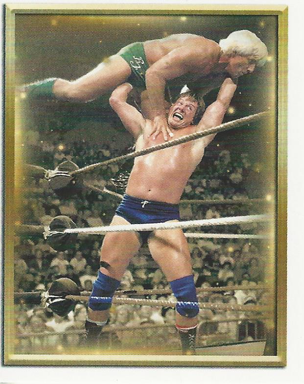 WWE Topps 2018 Stickers Roddy Piper #104