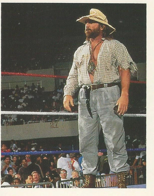 WWF Merlin Stickers 1992 Skinner #104