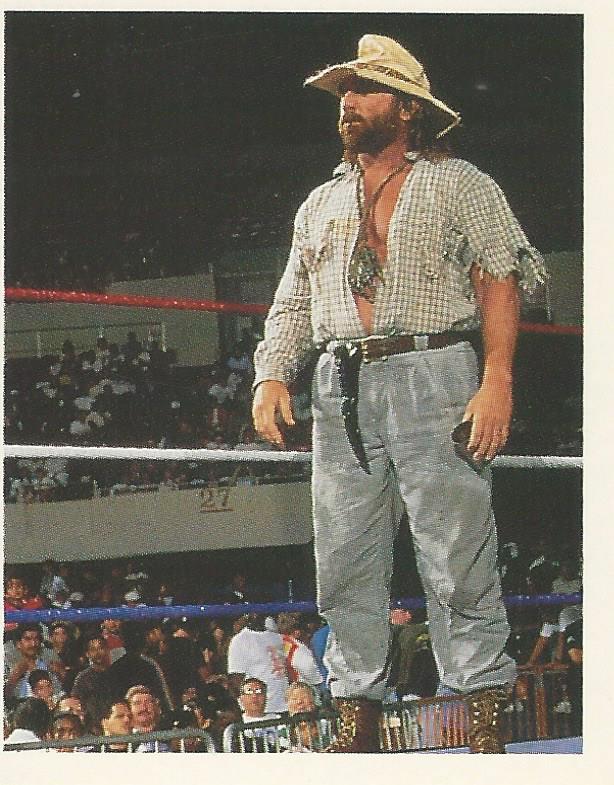 WWF Merlin Stickers 1992 Skinner #104