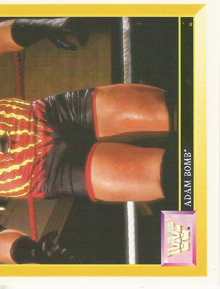 WWF Merlin Sticker 1994 Adam Bomb #104