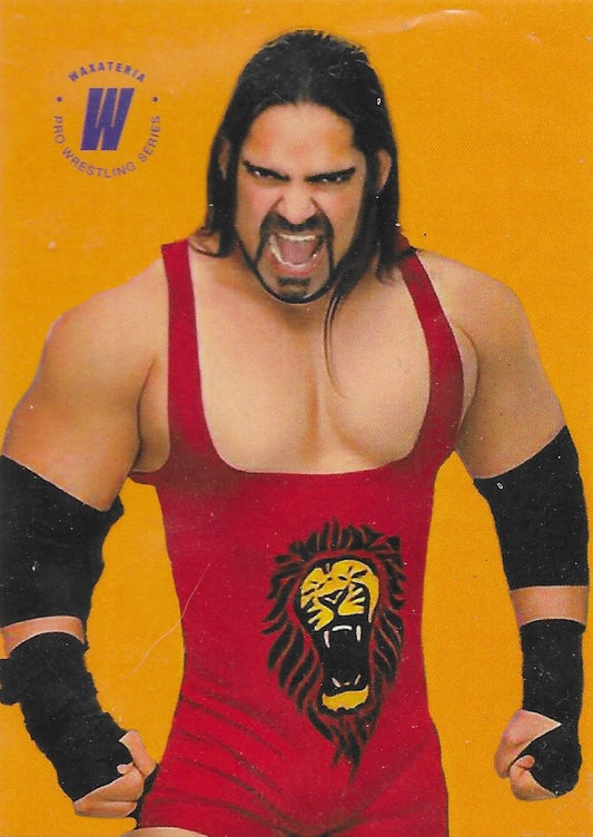 Prince Aadvanshi trading card PW Catalog