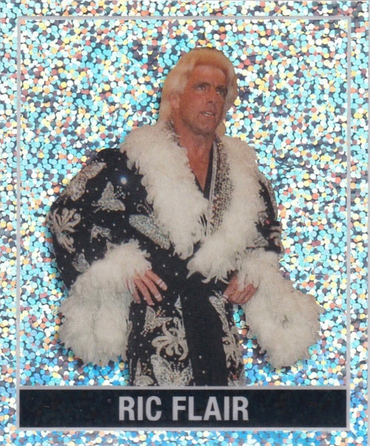 RIC Flair trading card PW Catalog