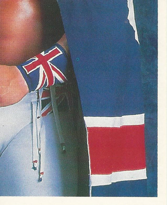 WWF Merlin Stickers 1991 British Bulldog #111