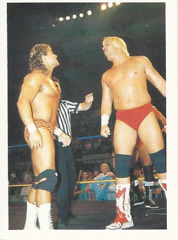 WCW Euroflash 1992 Sticker Brian Pillman #105