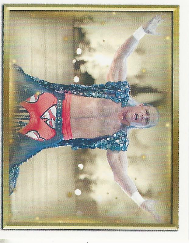WWE Topps 2018 Stickers Shawn Michaels #105