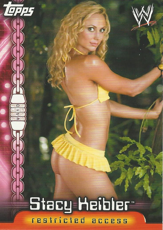 WWE Topps Insider 2006 Stacy Keibler D11 trading card PW Catalog