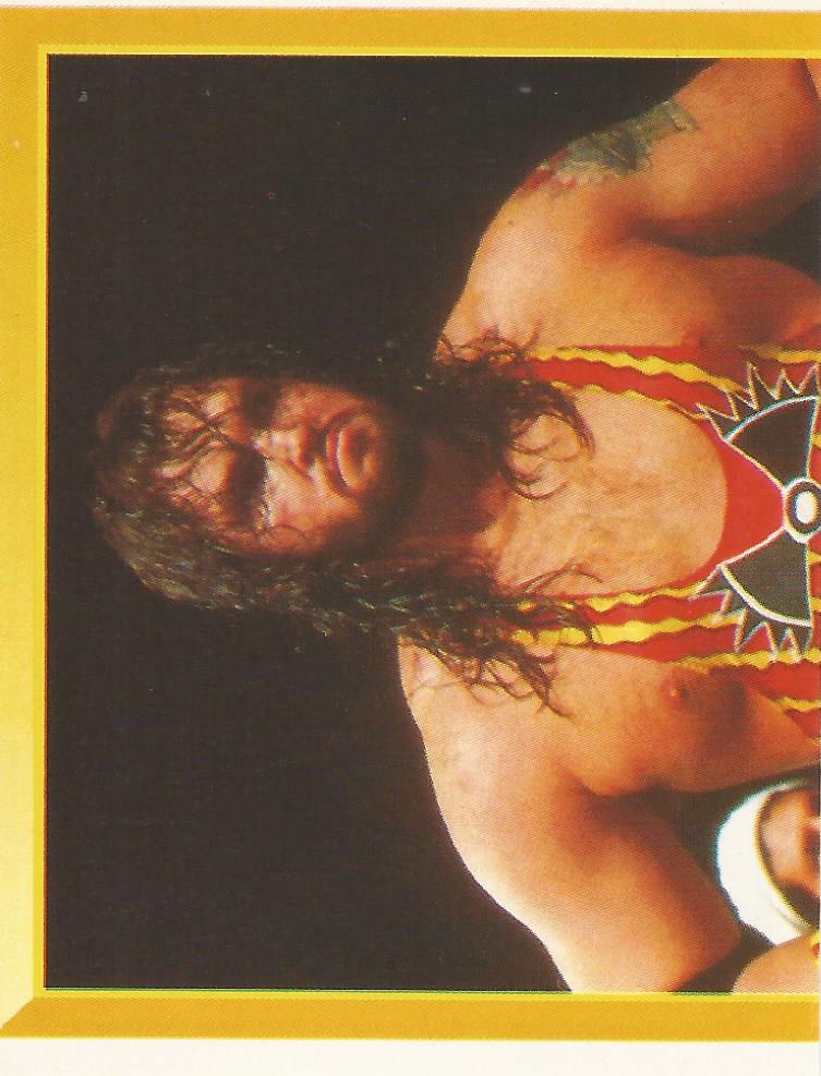 WWF Merlin Sticker 1994 Adam Bomb #105