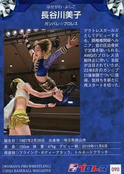 Yoshiko Hasegawa - image 2