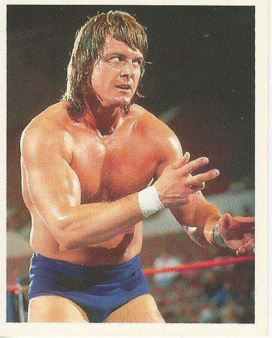 WWF Merlin Stickers 1991 Roddy Piper #144