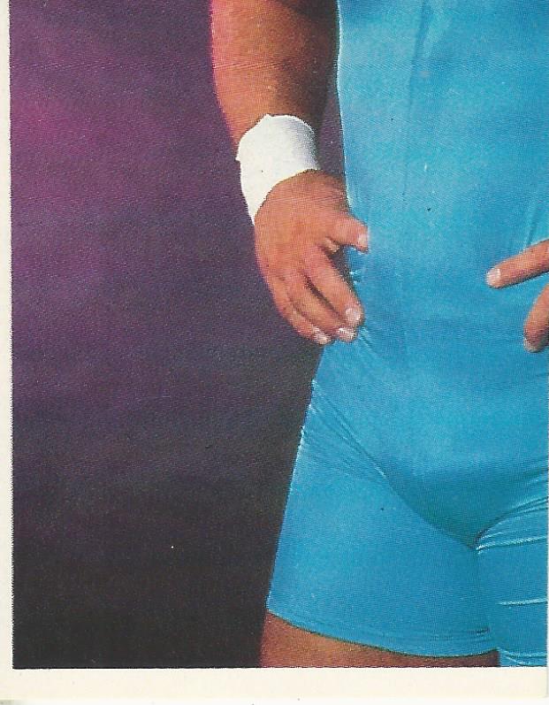 WWF Merlin Stickers 1991 Mr Perfect #334