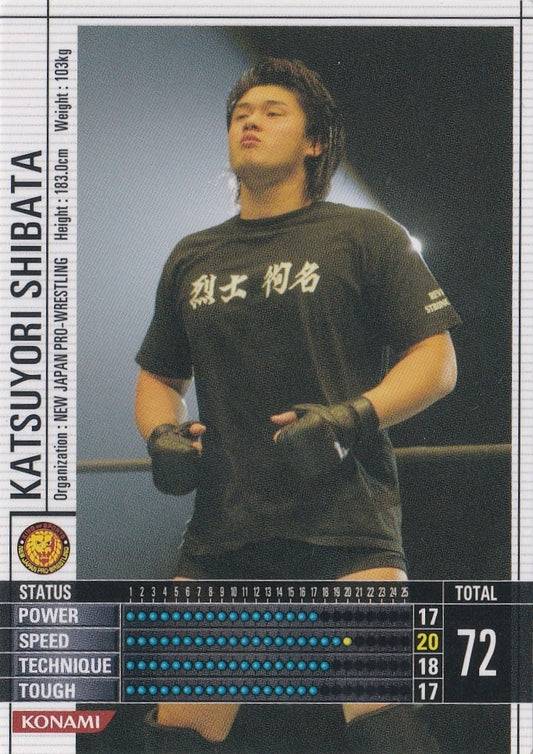 Katsuyori Shibata