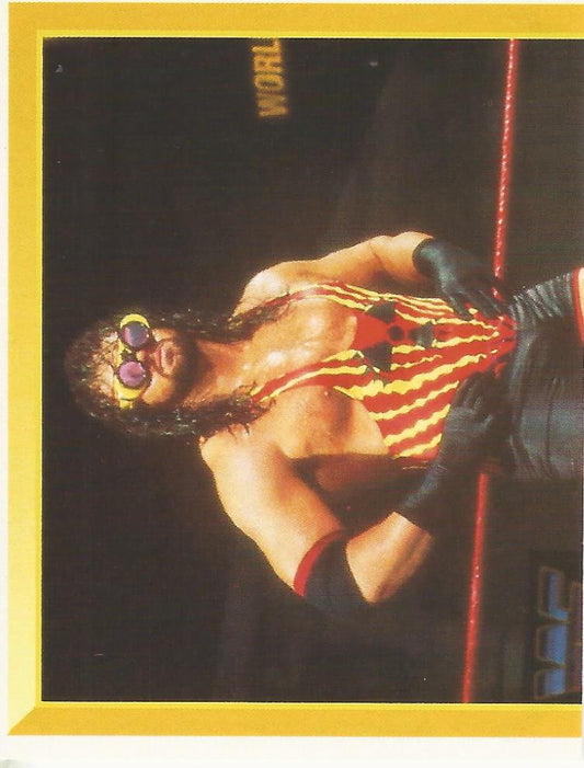 WWF Merlin Sticker 1994 Adam Bomb #107