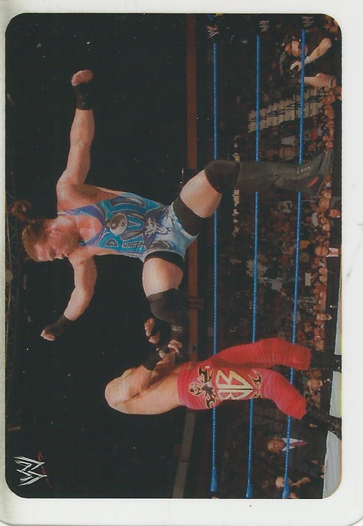 WWE Edibas Lamincards 2005 Rob Van Dam #107