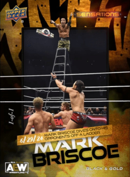 6/29/24 – Mark Briscoe – Mark Briscoe Dives Onto HIS Opponents OFF a Ladder