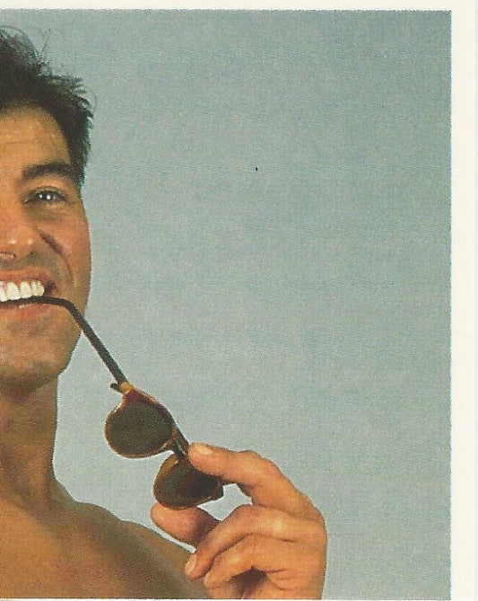 WWF Merlin Stickers 1992 Rick Martel #108