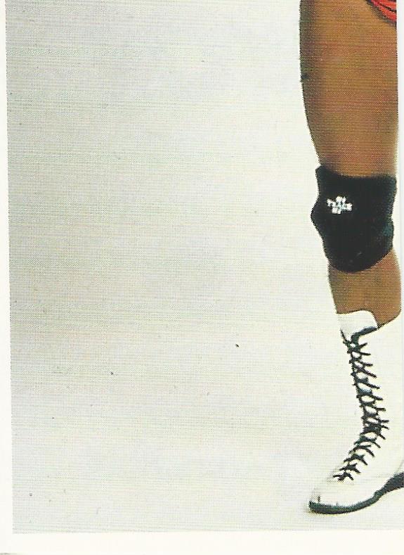 WCW Euroflash 1992 Sticker Brian Pillman #108