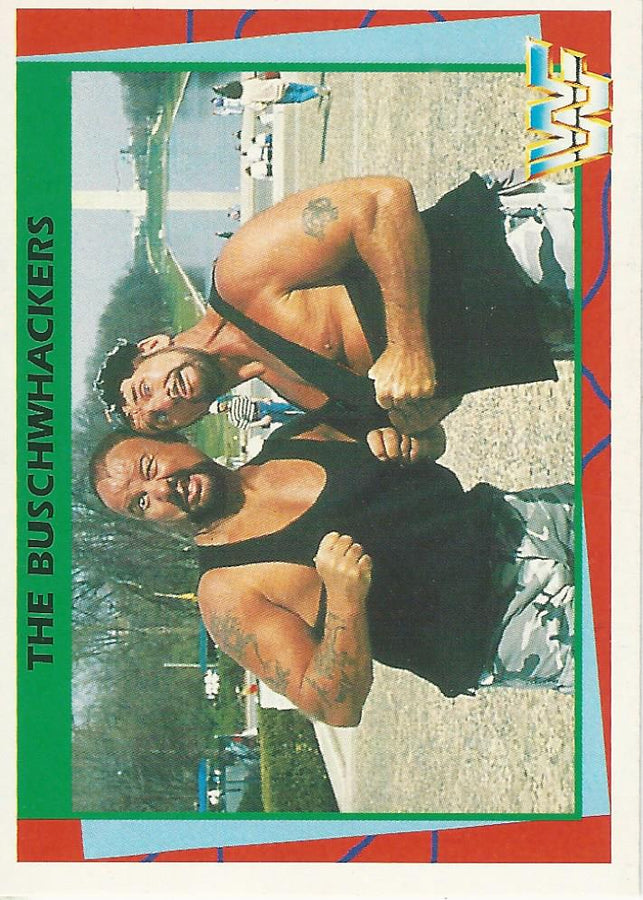 WWF Merlin 1995 Bushwhackers #108