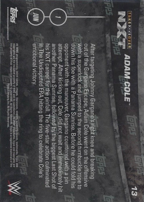 Adam Cole DEF. Johnny Gargano to Win the NXT Championship trading card PW Catalog
