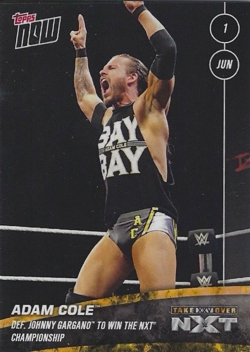 Adam Cole DEF. Johnny Gargano to Win the NXT Championship trading card PW Catalog