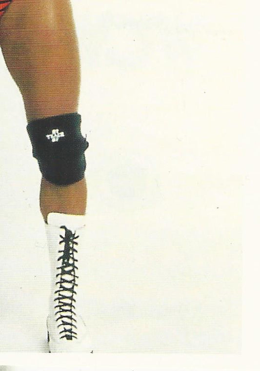 WCW Euroflash 1992 Sticker Brian Pillman #109