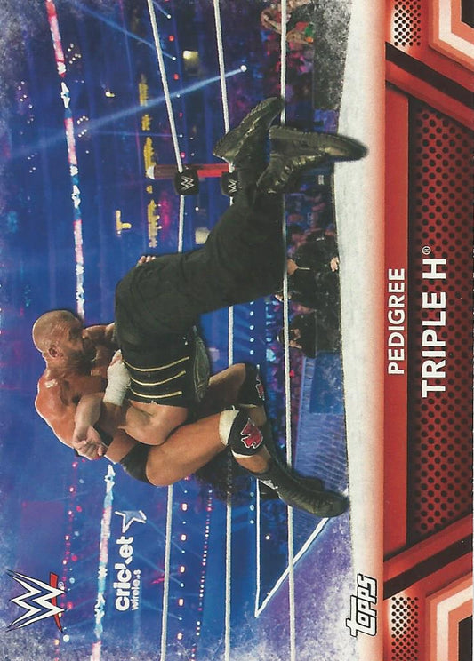 WWE Topps Then Now Forever 2017 Triple H #F9