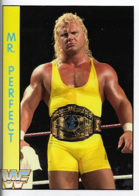 MR. Perfect