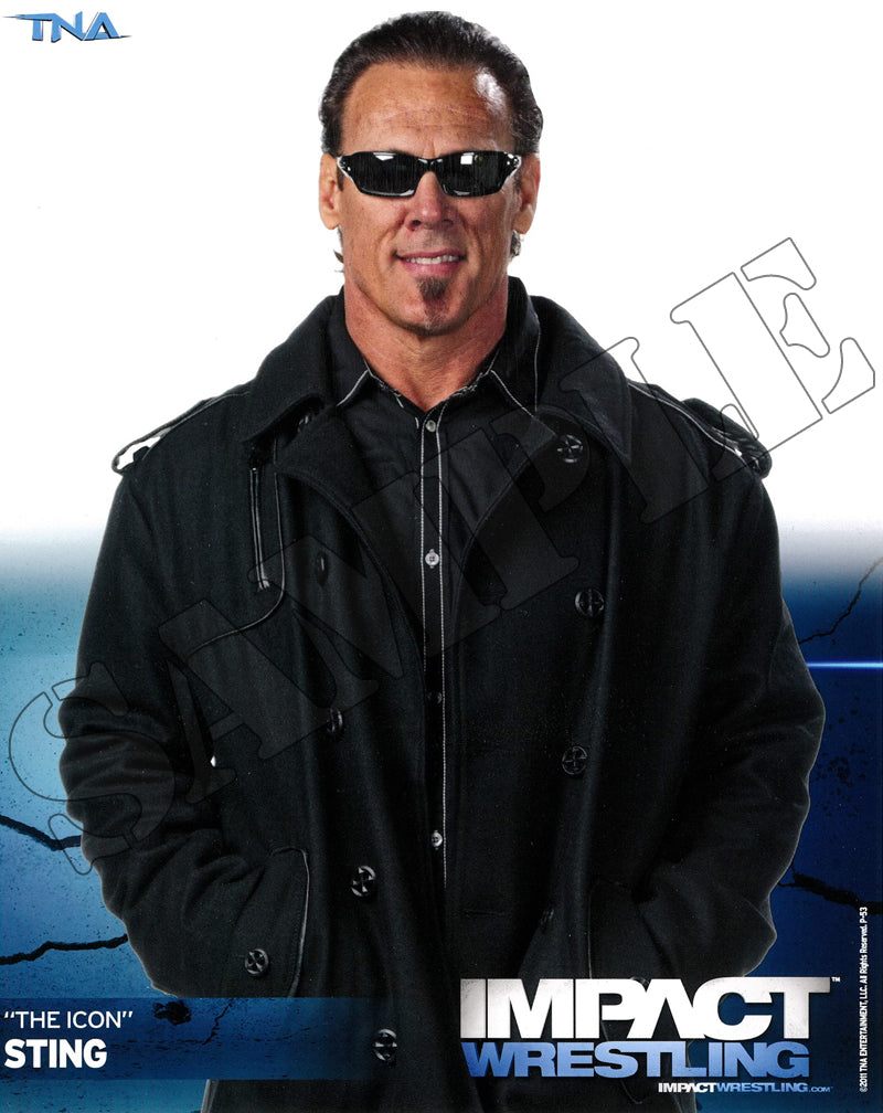 Sting - 8x10
