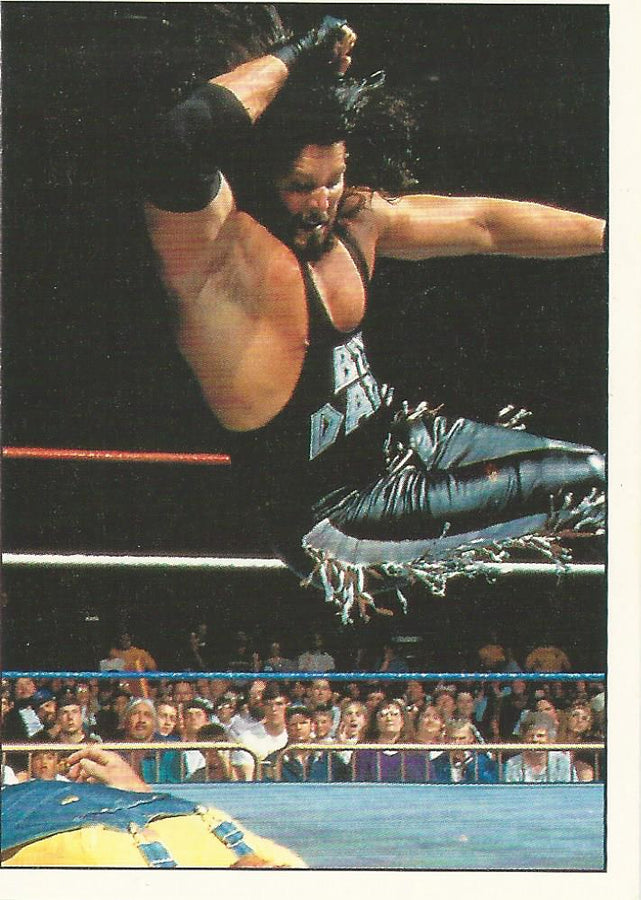 WWF Panini 1995 Sticker Collection Diesel #10