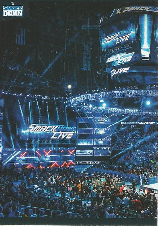 WWE Panini 2022 Sticker Collection Crowd #10