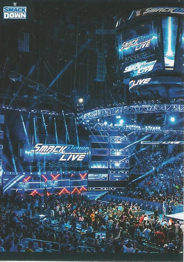 WWE Panini 2022 Sticker Collection Crowd #10