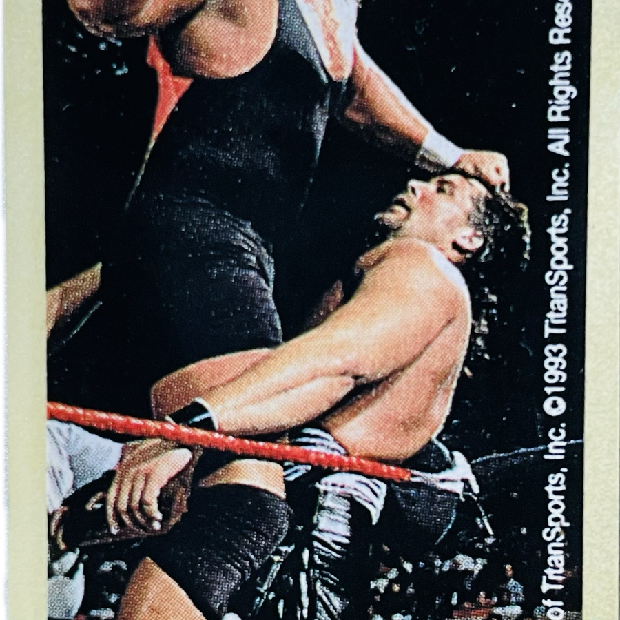 WWF Dunkin Bubble Gum Stickers (1993) No. 10 Mr. Perfect PW Catalog