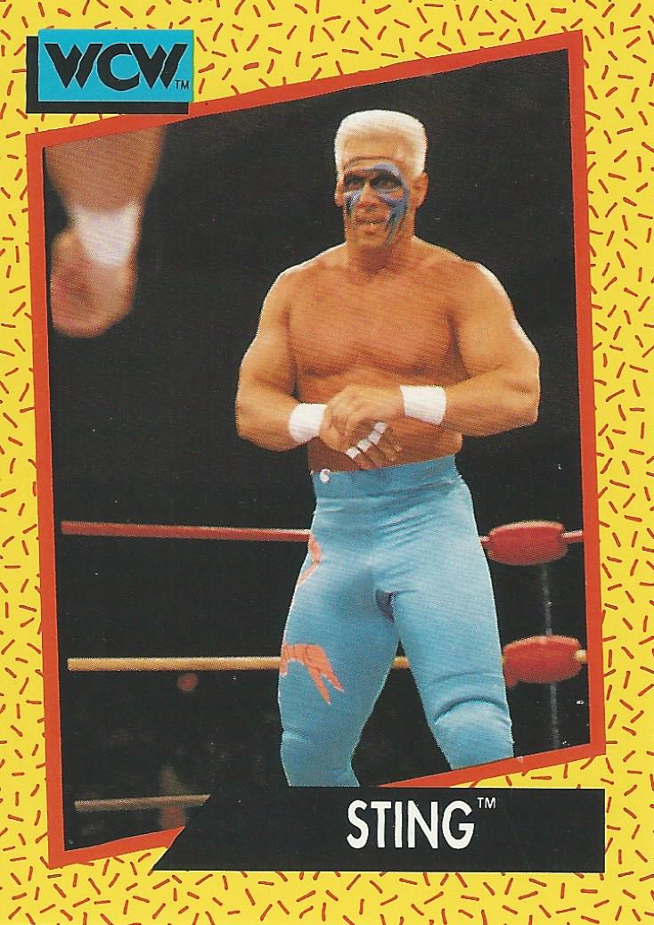 WCW Impel 1991 Sting #10