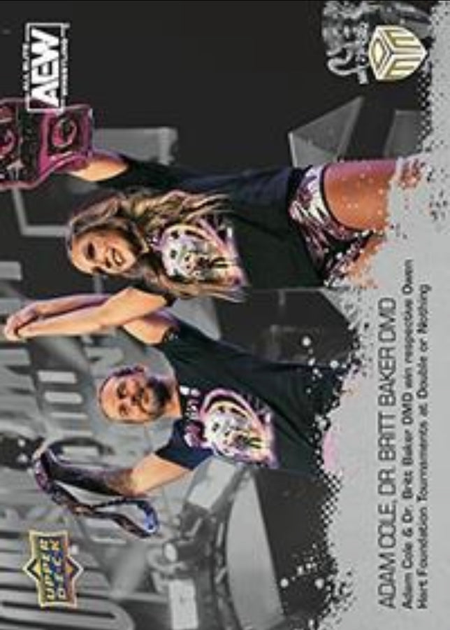 Adam Cole, DR. Britt Baker DMD – Adam Cole & DR. Britt Baker DMD Win Respective Owen Hart Foundation Tournaments at Double or Nothing