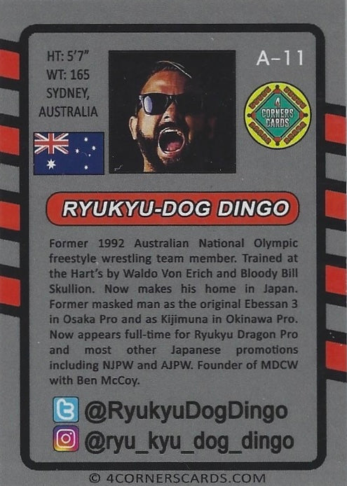 Ryukyu-Dog Dingo