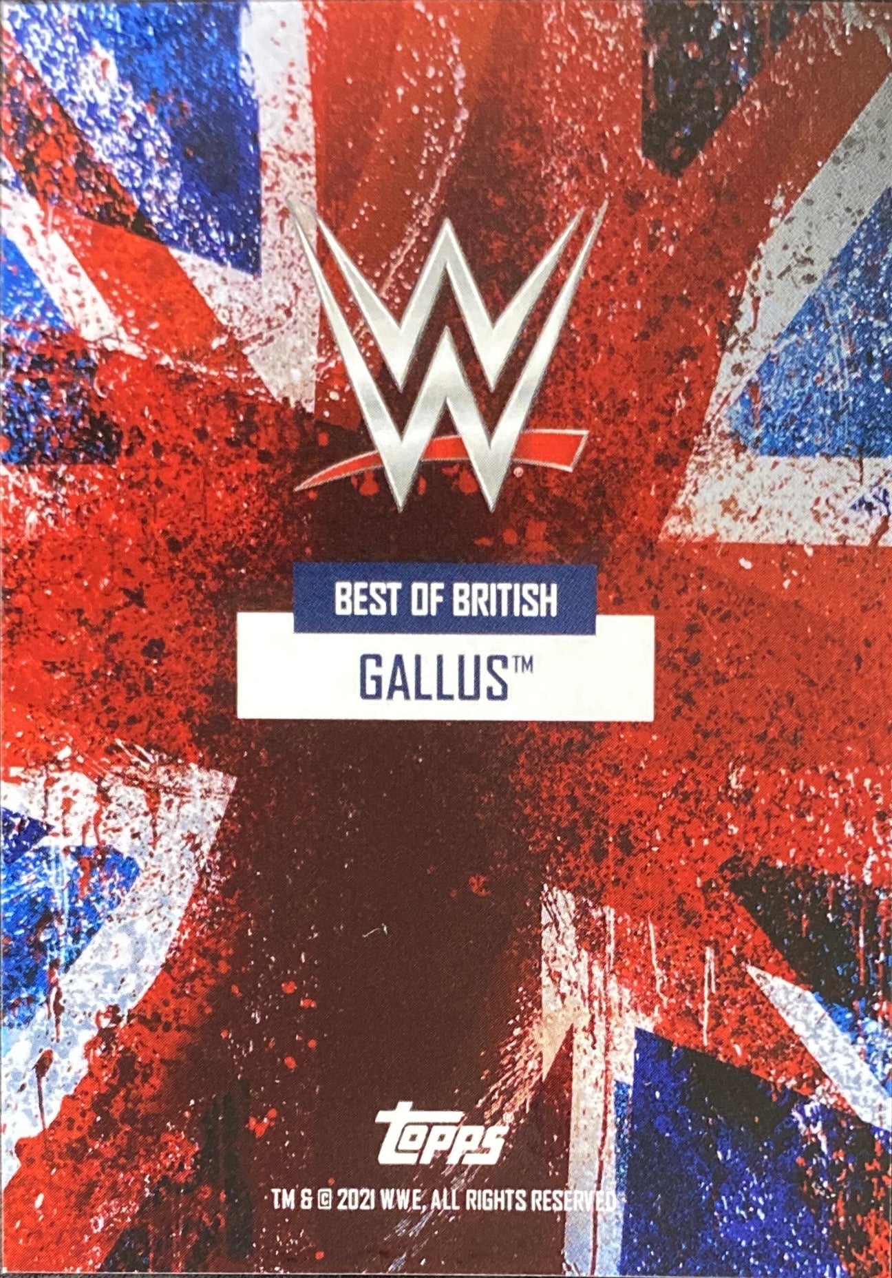 Gallus