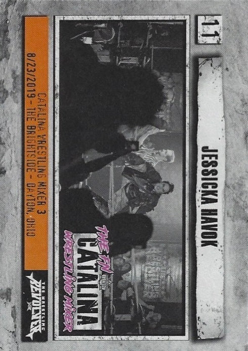 Jessicka Havok trading card PW Catalog