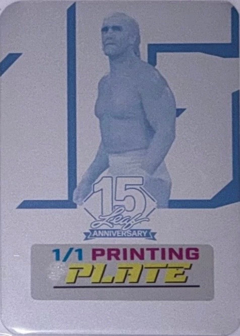 Hulk Hogan