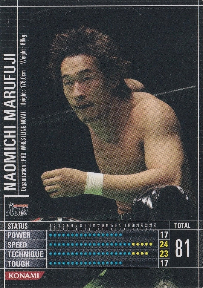 Naomichi Marufuji