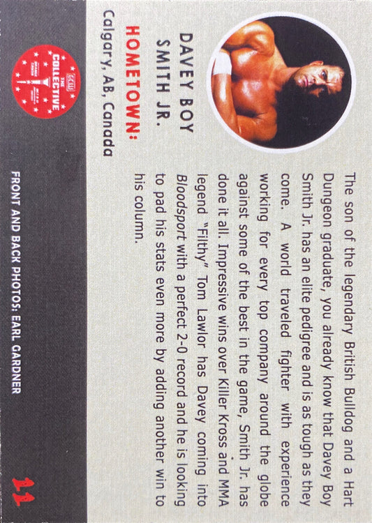 Davey Boy Smith JR. trading card PW Catalog