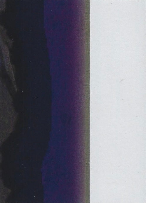 Shogun Jackson Stone trading card PW Catalog